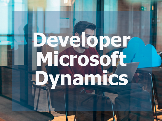 Developer Microsoft Dynamics CRM / .NET 