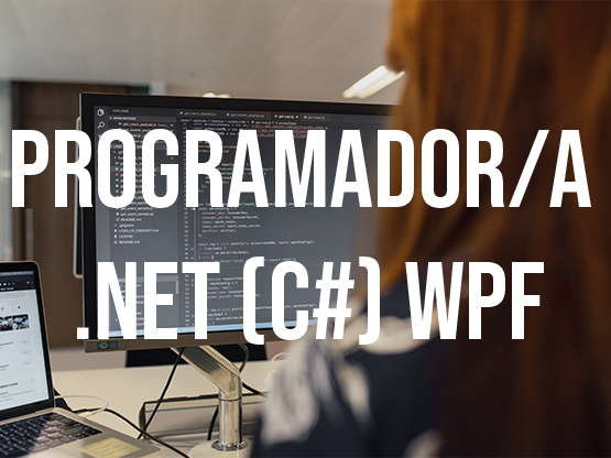 Programador/a .Net (C#) WPF